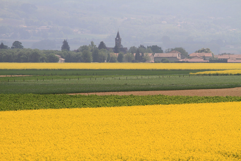 Soutenons le tourisme