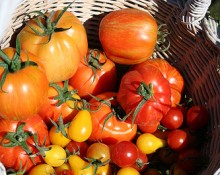 Marché de Pact