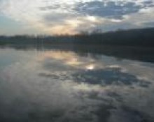Etang 