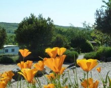 Camping la Bissera
