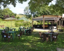 Al Geko Restaurant Snack