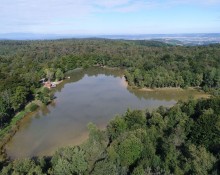 Etangs de pêche du Parc Naturel de Chambaran