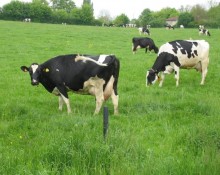 Ferme du Sozéa