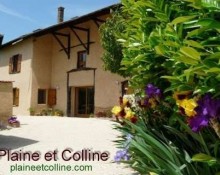 Plaine et colline