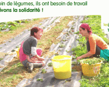 Les Jardins du Prado