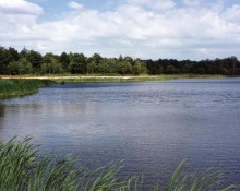 Etang Le Grand Bois