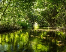 Espace naturel sensible Les fontaines de Beaufort