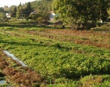Espace naturel sensible Les fontaines de Beaufort