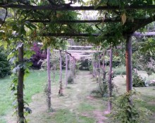 Les jardins de Nathandine