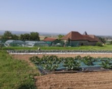 Les Jardins de Parady