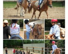 Le p'tit ranch - Poney club