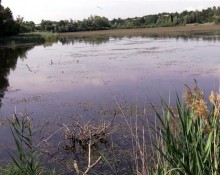 Espace naturel sensible de l'étang de Montjoux