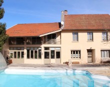 Sous le figuier