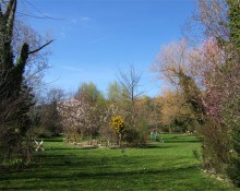 Le Paradis Fouillis