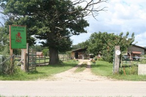 Ferme équestre 