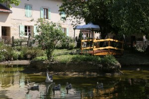 A la mare du Vieux Chêne