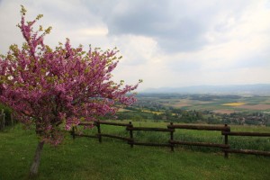Chapelle ND du Mont