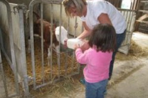 Ferme des 13 fontaines