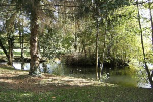 Parc Allivet
