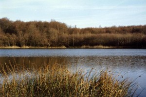 Etang Le Grand Bois