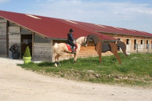 Equitation au Haras du Brin d'Amour