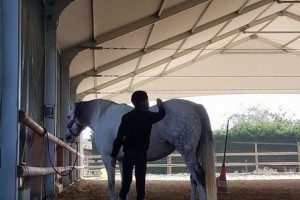 Equit'A-te-lier
