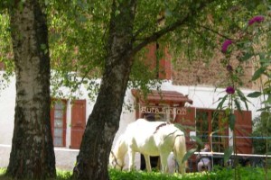 centre-equestre-1.jpg
