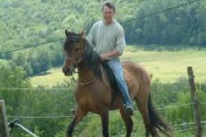 cheval-peon1.jpg