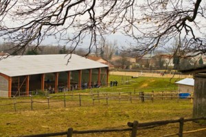 Centre équestre de Faramans