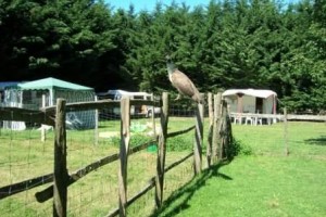 ferme des grands goulets2