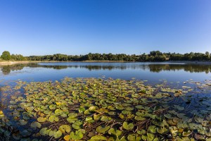 Etang de Montjoux