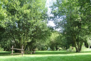 Paradis fouillis