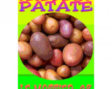 Fête et foire de la Patate