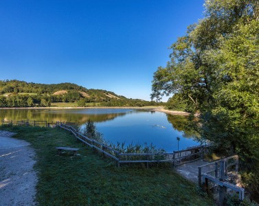 Animations nature sur l'Espace Naturel Sensible de l'étang de Montjoux