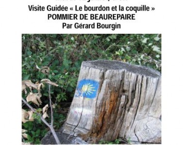 Visite guidée : le bourdon et la coquille