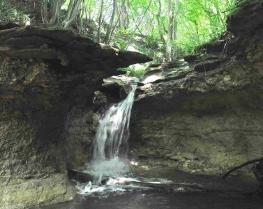 Animations nature sur l'Espace Naturel Sensible de la Sanne Amont