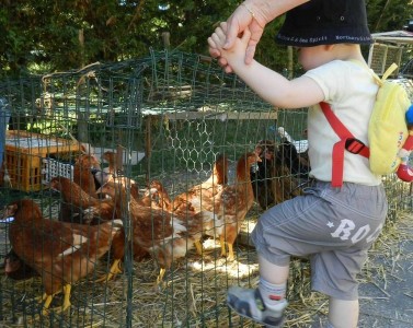 Foire aux dindes et vide grenier