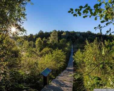 Bruits de la nuit et affût sur l'Espace Naturel Sensible de la tourbière des Planchettes