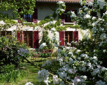Petits déjeuner au Regardin (à thème)