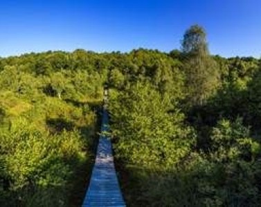 Visite guidée de l'espace naturel sensible de la tourbière des planchettes