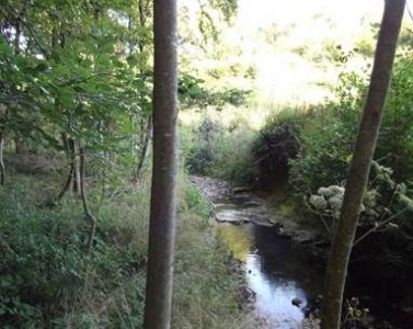 Visite guidée de l'Espace Naturel Sensible de la Sanne