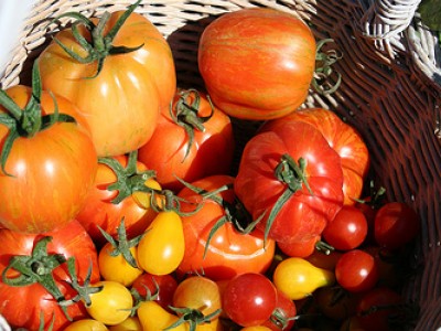 Marché Marché