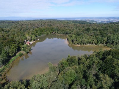 Parc naturel de Chambaran