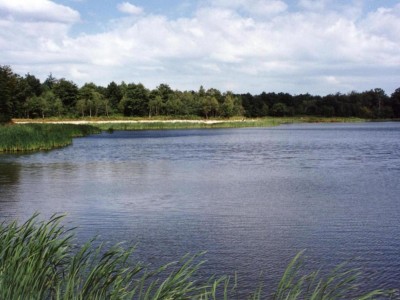 Etang Le Grand Bois