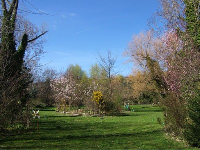 Paradis fouillis