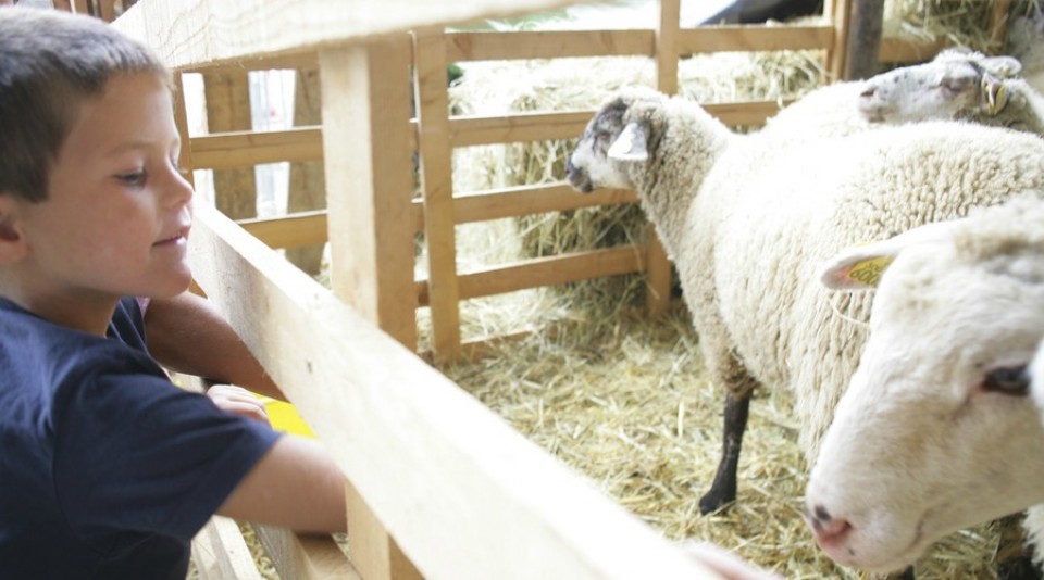 visitesfermes