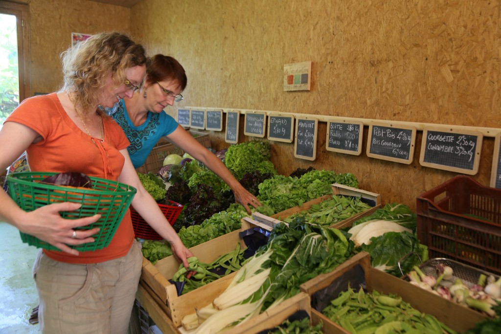 Farms shops
